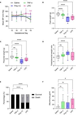 A comparison of rat models that best mimic immune-driven preeclampsia in humans